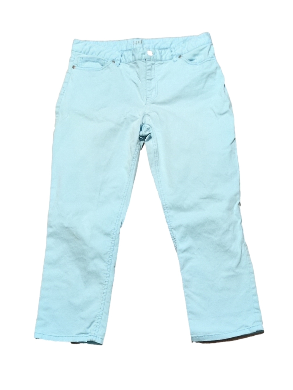 J. Jill Authentic Crop Ltrobinegg Pants Size 8